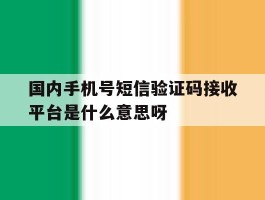 关于国内手机号短信验证码接收平台是什么意思呀的信息