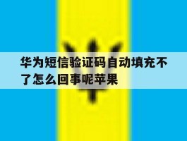 华为短信验证码自动填充不了怎么回事呢苹果