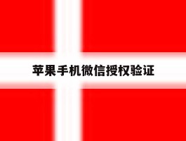 苹果手机微信授权验证