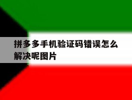 拼多多手机验证码错误怎么解决呢图片
