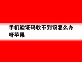 手机验证码收不到该怎么办呀苹果
