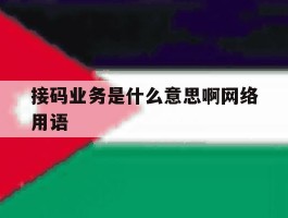 接码业务是什么意思啊网络用语