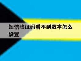 短信验证码看不到数字怎么设置