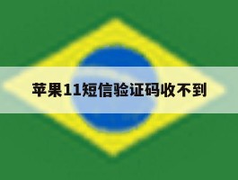 苹果11短信验证码收不到