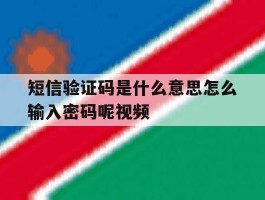 短信验证码是什么意思怎么输入密码呢视频