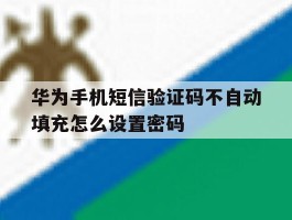 华为手机短信验证码不自动填充怎么设置密码