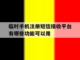 包含临时手机注册短信接收平台有哪些功能可以用的词条
