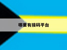 哪里有接码平台