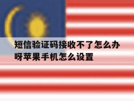 关于短信验证码接收不了怎么办呀苹果手机怎么设置的信息