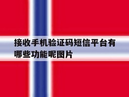 接收手机验证码短信平台有哪些功能呢图片