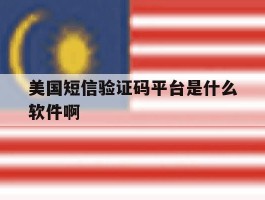 美国短信验证码平台是什么软件啊