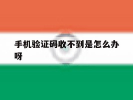手机验证码收不到是怎么办呀