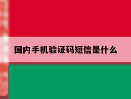 国内手机验证码短信是什么