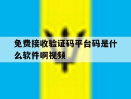 免费接收验证码平台码是什么软件啊视频